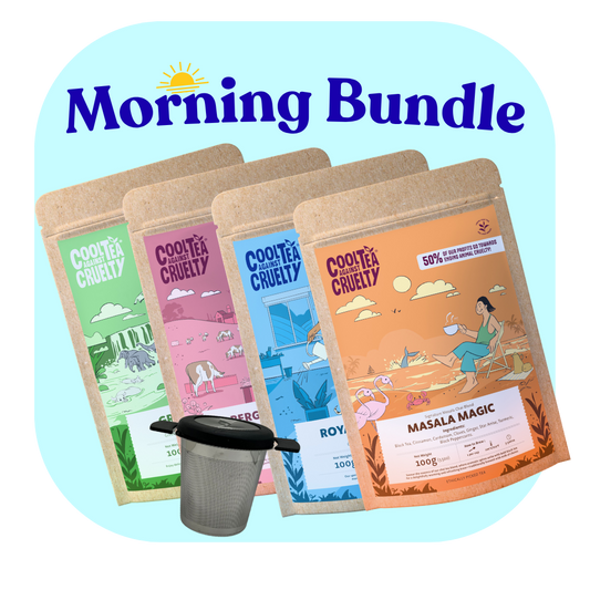 Morning Tea Set: four Cool Tea loose leaf tea pouches with a reusable tea strainer