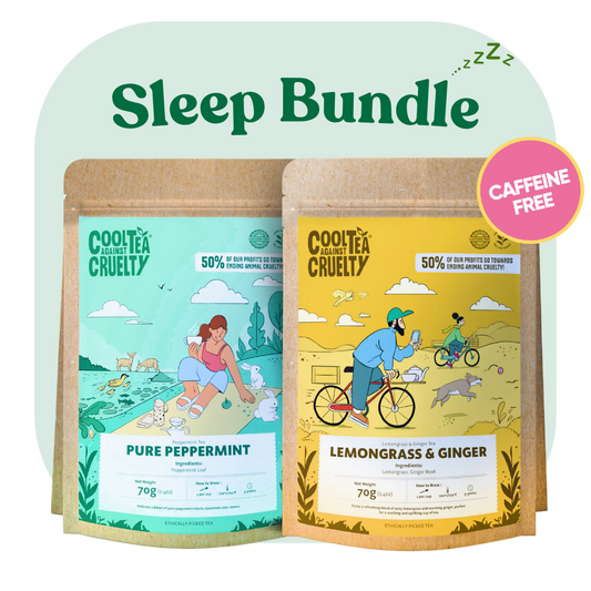 Sleep Tea Set: Pure Peppermint and Lemongrass & Ginger loose leaf tea pouches