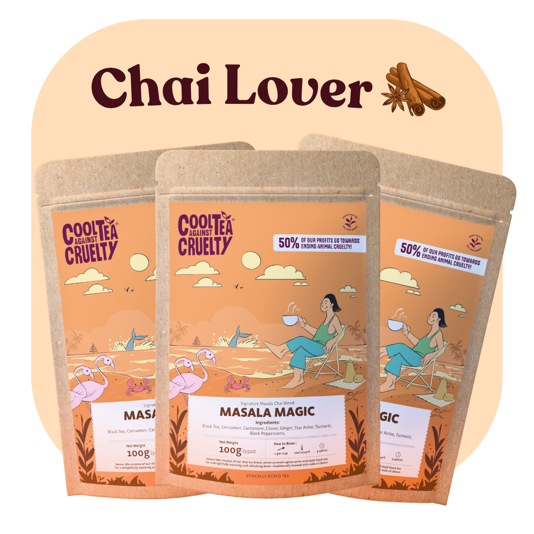 Chai Lover bundle: three pouches of Cool Tea Masala Magic loose leaf chai